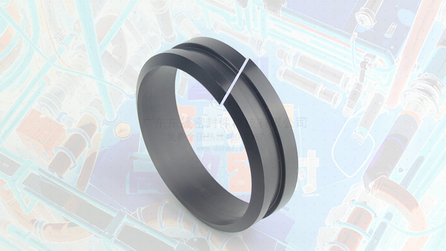 軸用帶刮唇導向環DFAI 導向套 (6)唇型密封圈.JPG197.14KB