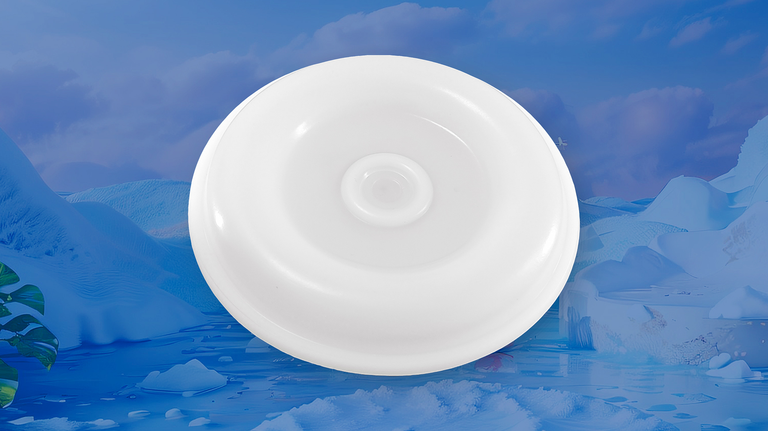 氣動隔膜泵隔膜片16 (1)