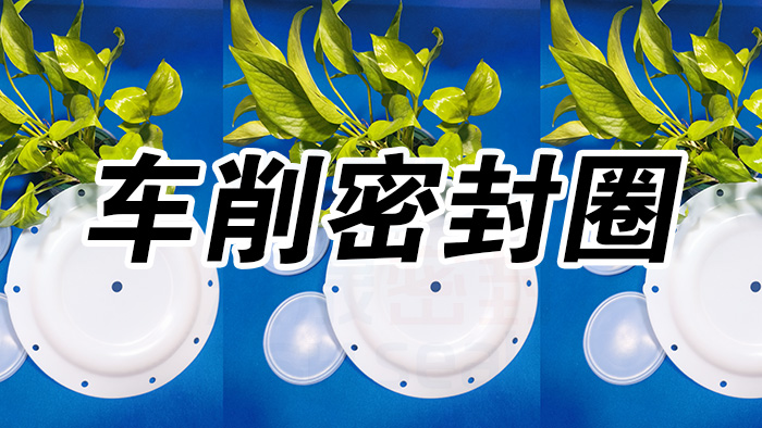 2車削密封圈，氣動隔膜泵膜片密封件